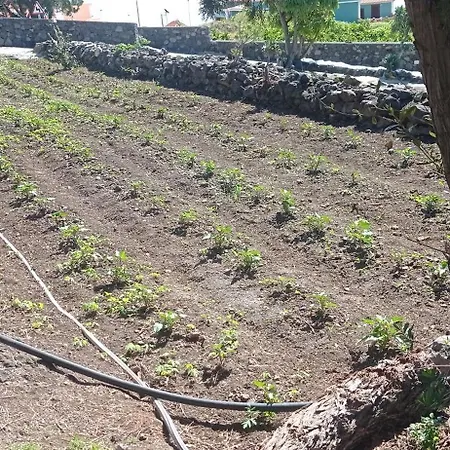 El Sueno Del Angel